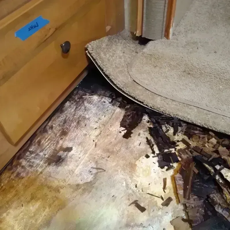 Wood Floor Water Damage in Buffalo Grove, IL